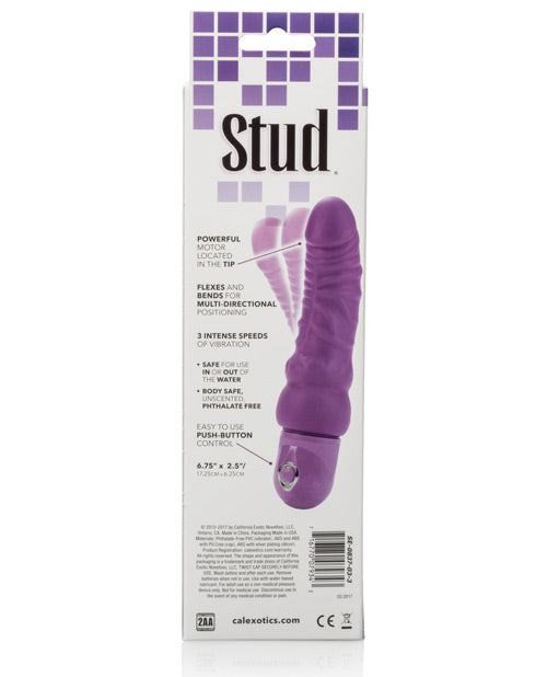 BENDIE POWER STUD CURVY PURPLE