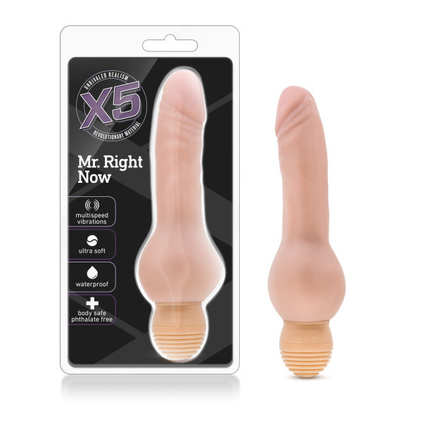 X5 Mr. Right Now Dildo (box)
