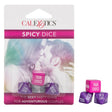 Spicy Dice Party Games
